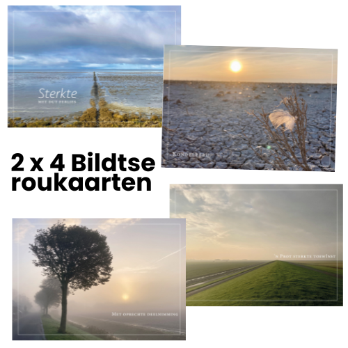 Bildtse roukaarten 8 stiks (2x4)