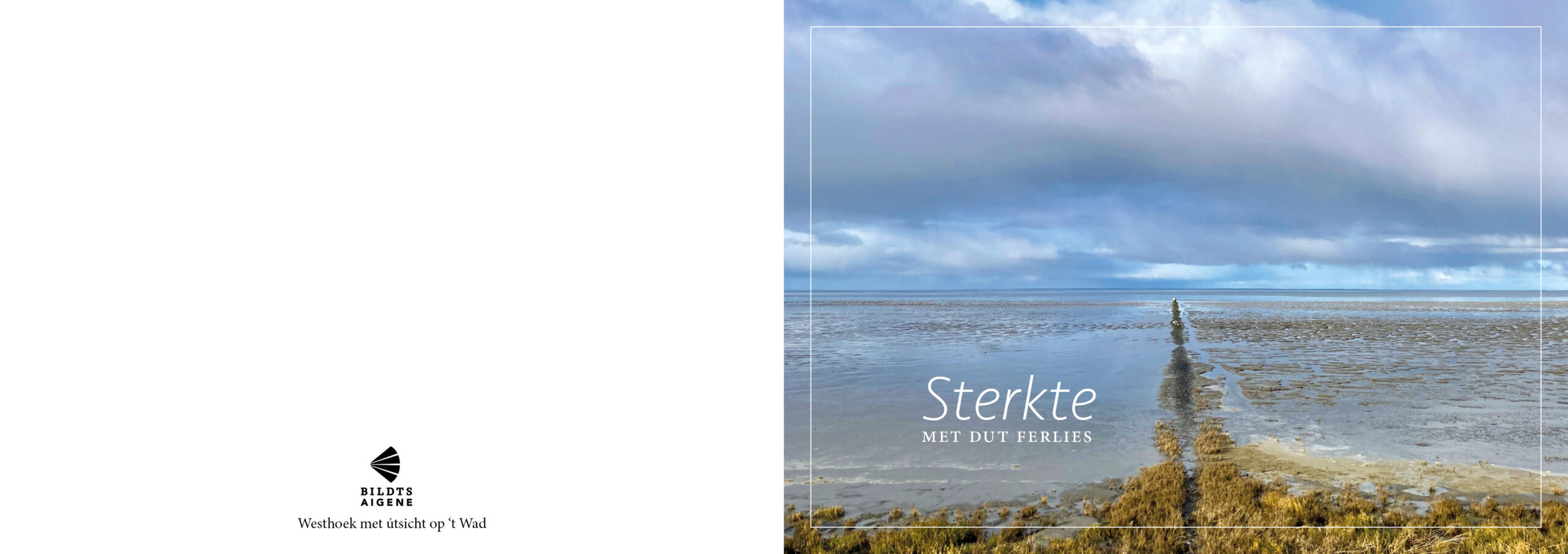Bildtse roukaarten 8 stiks (2x4) - Afbeelding 4
